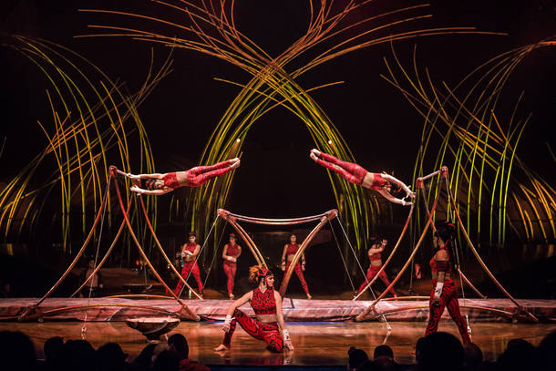 Acrobata do Cirque du Soleil morre após acidente em espetáculo nos EUA